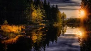 Страшные истории про лес. Охотничьи истории. Аудиокнига мистика. Ужасы