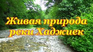 Открываю новые места. Якорная Щель. Тайны реки Хаджиек.