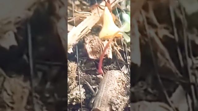 скупаем ! металлом ! аккумуляторы, радиаторы !