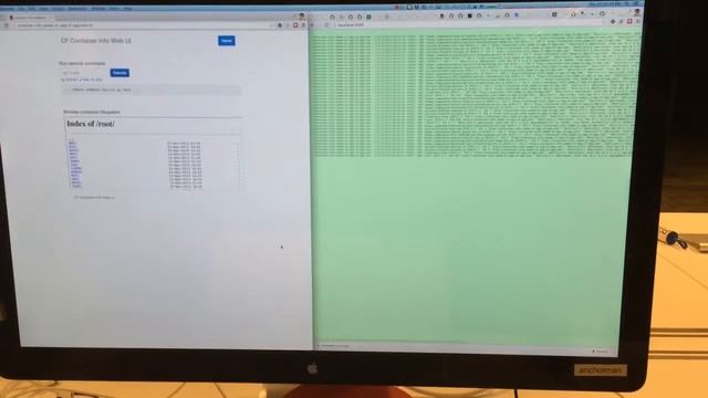 WebSocket Madness смотреть онлайн