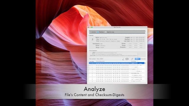 Get File Info - App Preview смотреть онлайн