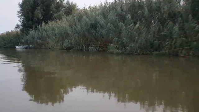 Закат в Астрахани сентябрь 2019 смотреть онлайн