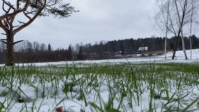 СЕМЬЯ НЕВЕСТЫ НЕ ПРИНИМАЛА ЖЕНИХА, ОН БЫЛ ИЗ НЕБЛАГОПОЛУЧНОЙ СЕМЬИ... | Истории из жизни.