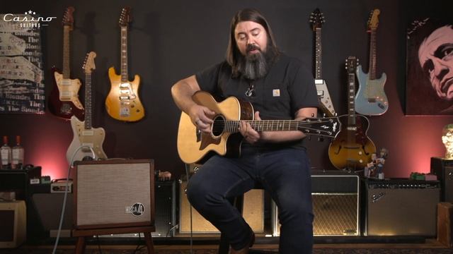 Taylor Circa 74 Acoustic Amp смотреть онлайн