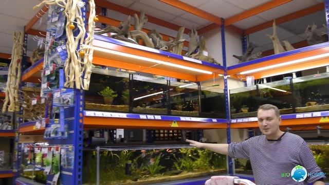 Как живёт студия Biohobby - экскурсия с сюрпризами... 9 месяцев спустя смотреть онлайн