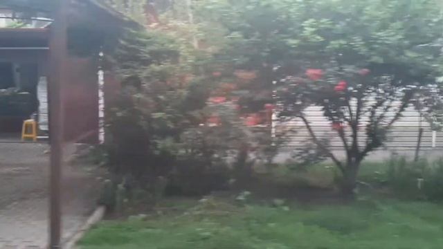 Поездка в автобусе Богдан А20111 | Краснодарский Край, Анапа