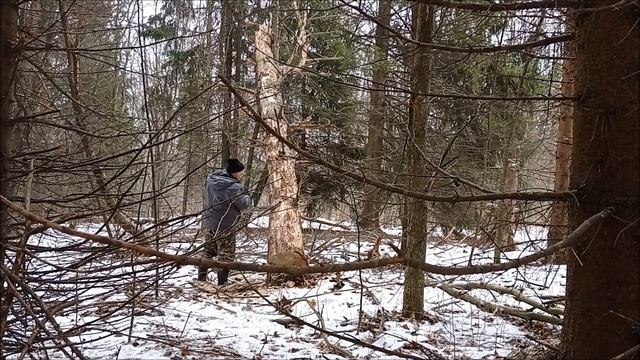 Вернулся обратно, заготовка дров для кордона смотреть онлайн