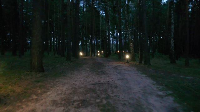 Квартирник на пляже Chalet Greenwood