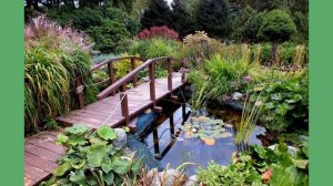 Пруд с мостиком на даче. 35 идей для вдохновения.