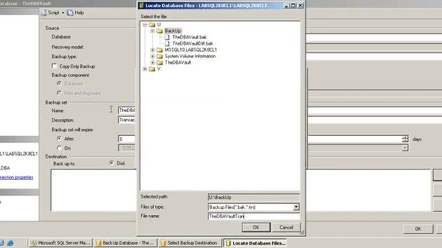 13 Transaction Log Backup смотреть онлайн