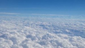 Медитация любви (сердечная чакра), Когерентность сердца. GOLOV-20