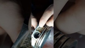 Стук в двигателе Z24SED Шевроле Каптива 2,4 С100