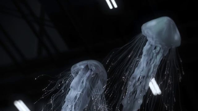 Blender Geometry Nodes 025 #jellyfish #blender #animation смотреть онлайн