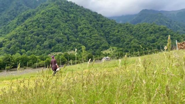 We Built a TANDOOR OVEN to Roast a WHOLE LAMB! An Incredible JUICY LAMB Recipe смотреть онлайн