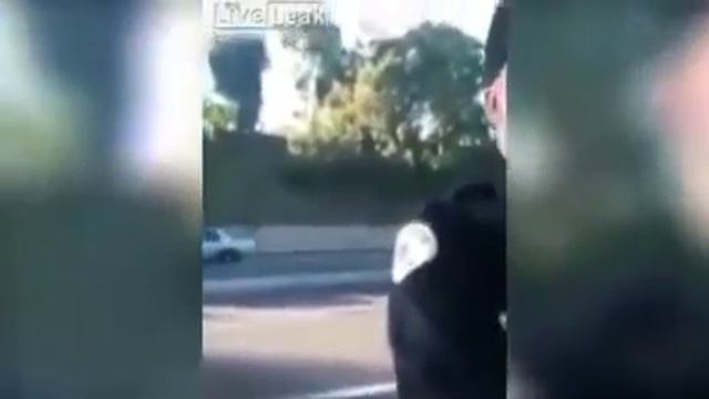 Когда КОНСТИТУЦИЯ и ЗАКОНЫ работают. Часть 1 смотреть онлайн