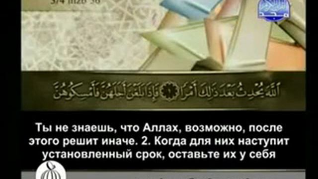2/2 Cуры Собрание,Лицемеры, Взаимное Обманывание, Развод смотреть онлайн