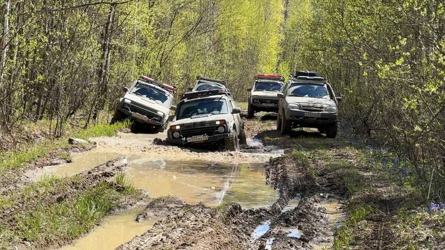 Таежный зов 2024