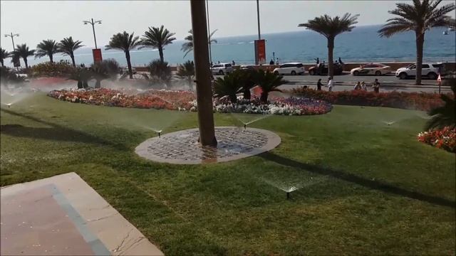 Полив цветноков.  Пальма Джумейра. Дубаи февраль 2018.