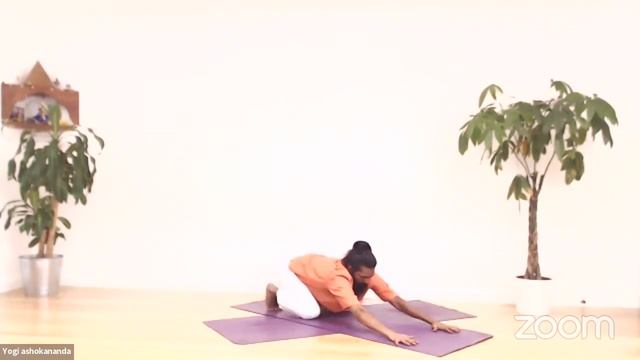 Yoga for Beginner - Himalayan Hatha Yoga смотреть онлайн