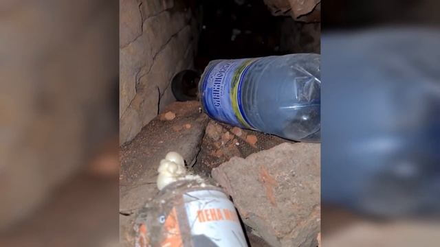 Котенок замурован ЗАЖИВО?. 1 часть. смотреть онлайн