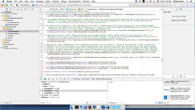 Objective C UI May - 2 - UIView, UIViewController смотреть онлайн