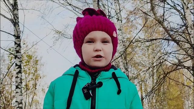 Стихотворение Евгении Трутневой " Листопад" смотреть онлайн