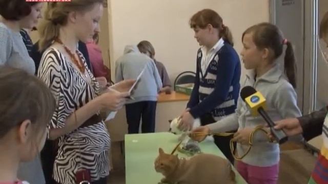 Выставка домашних животных в ЦРТДиЮ смотреть онлайн