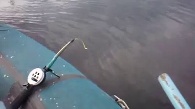 местные водолазы смотреть онлайн