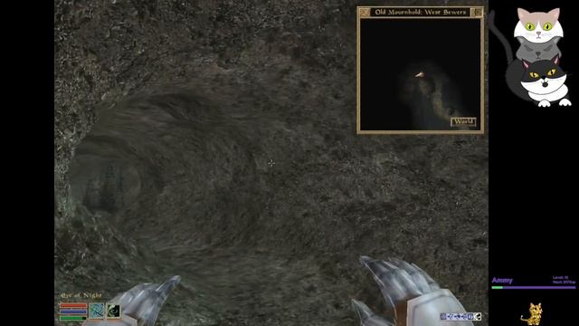 The Elder Scrolls: Morrowind - New Khajiit in Town - Part 92 смотреть онлайн
