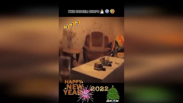 Приколы 2023 смотреть онлайн