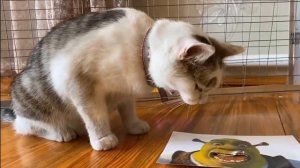 А-нука-давайка часть 2