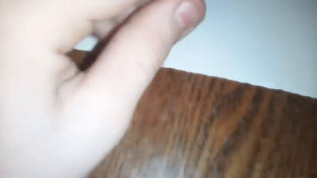 Подделка из семечек и пластилина смотреть онлайн