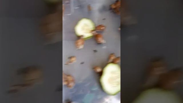 Сортировка улиток.... смотреть онлайн