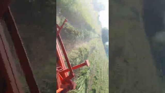 Т-40, польская косилка лисички смотреть онлайн