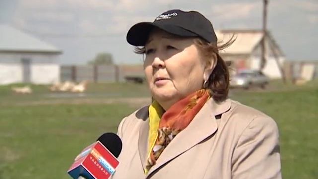 О Совете Деловых женщин Палаты предпринимателей Павлодарской области смотреть онлайн