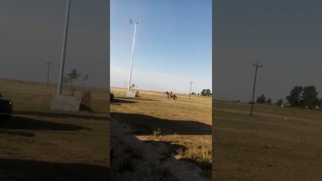 Наша лошадь бегает рысью. смотреть онлайн