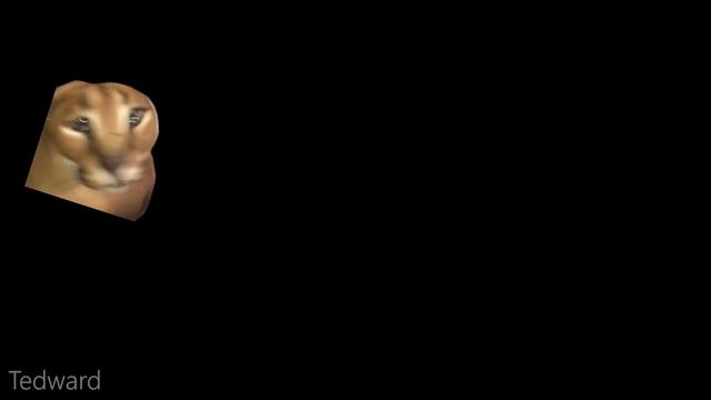 Floppa Rave 2 смотреть онлайн