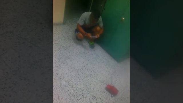 Sneyder Efrain Cadena Barbosa prueba de manejo con estructura смотреть онлайн