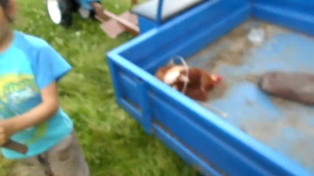 Стройка Движения