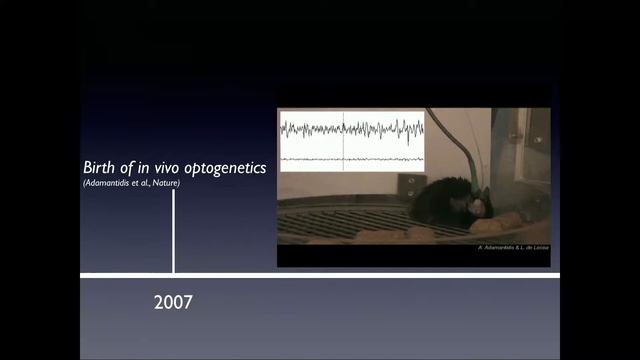 Luis de Lecea - To Sleep or Not To Sleep: A Mind/Body Dilemma смотреть онлайн