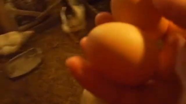 Клетки для мини мясных кур\Яйца моих курочек\Сельский дворик смотреть онлайн