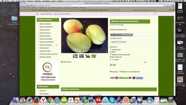 Советы для продвижения сайта магазина - продажа саженцев. Аудит юзабилити интернет-магазина смотреть онлайн