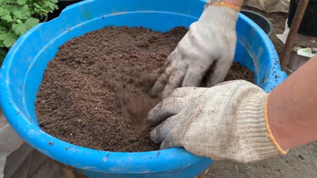 Грунт для черенкования смотреть онлайн