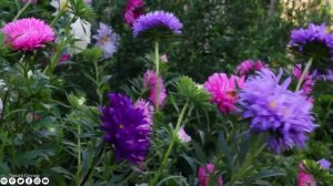 Самая красивая мелодия на свете! Эту музыку можно слушать вечно! красивая музыка Сергей Грищук #9