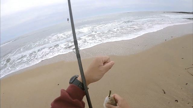 Which Sandworm Bait Catches More Fish on the Surf | ITGETSREEL Episode 170 смотреть онлайн
