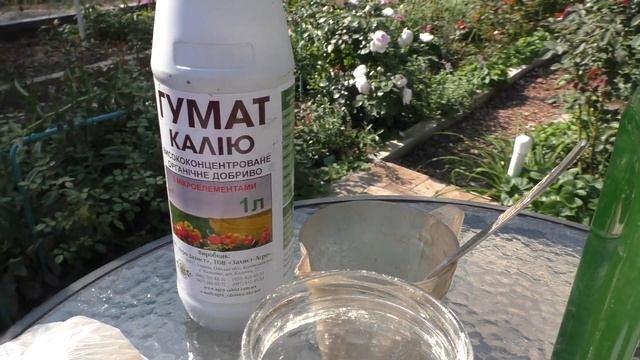 Подкормка роз осенью калийными удобрениями и обработка почвы биопрепаратами смотреть онлайн