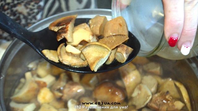 Фотография Винтажных Объектов