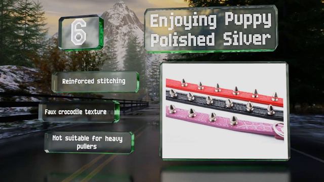 10 Best Spiked Dog Collars 2020 смотреть онлайн