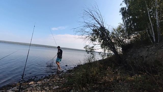 Рыба сама лезет в подсак! Рыбалка на ДОНКИ на СУРСКОМ ВОДОХРАНИЛИЩЕ на ЛЕЩА. смотреть онлайн