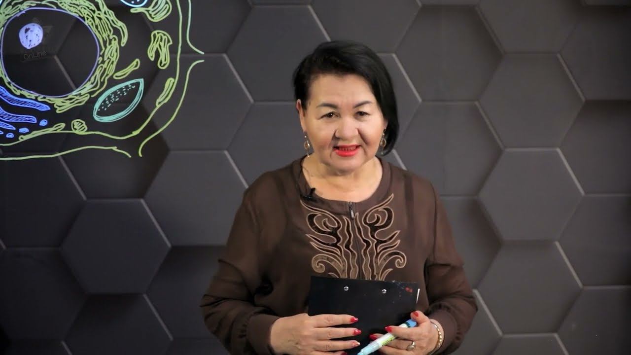 Өсімдіктер мен жануарлар жасушаларының құрылысы және қызметтерінің ерекшеліктері. 1 бөлім. 10 сынып. смотреть онлайн